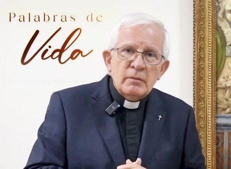 Palabras de vida - Padre Jorge Humberto Peláez Piedrahíta - Organización VID